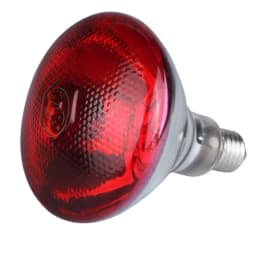 250w Infrared Heat Lamp Waterproof Anti-Explosion Thickened Light Bulbs For Piglet Chicken Duck Birds
