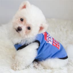 Summer Cotton Pet Vest for Small Dogs Cats Letter Print Dog T-shirts Puppy Clothing