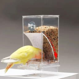 Large Capacity Splash Proof Automatic Feeding Bird Feeder Parrot Bags Tiger Skin Peony Xuanfeng Small Parrot Feed Bird Food Box