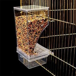 Large Capacity Splash Proof Automatic Feeding Bird Feeder Parrot Bags Tiger Skin Peony Xuanfeng Small Parrot Feed Bird Food Box