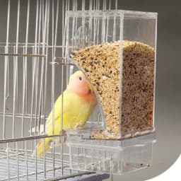 Large Capacity Splash Proof Automatic Feeding Bird Feeder Parrot Bags Tiger Skin Peony Xuanfeng Small Parrot Feed Bird Food Box