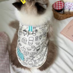 New Pet Dog Striped Sweatshirt Dog Clothes for Small Dogs Puppy Summer Clothes Soft Cat Dog Vest Bichon Chihuahua Dog Costumes