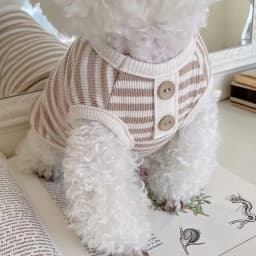 New Pet Dog Striped Sweatshirt Dog Clothes for Small Dogs Puppy Summer Clothes Soft Cat Dog Vest Bichon Chihuahua Dog Costumes