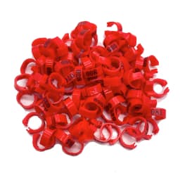 100 Pcs/set Inner Diameter 8mm Pigeon Leg Poultry Dove Bird Parrot Clip Rings Band Foot Ring Pigeon Supplies Bird Appliances