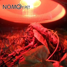 Reptile Heat Lamp Bulb Infrared Basking Spot Lamp 110V/220V Amphibian Snake Lamp Heat Reptile Bulbs 25W 50W 100W Luz Terrario