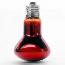 Reptile Heat Lamp Bulb Infrared Basking Spot Lamp 110V/220V Amphibian Snake Lamp Heat Reptile Bulbs 25W 50W 100W Luz Terrario
