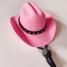 Adjustable Funny Pet Dog Hat Outdoor Summer Pet Accessories Dogs Cats Headwear Cowboy Hats Dog Cat