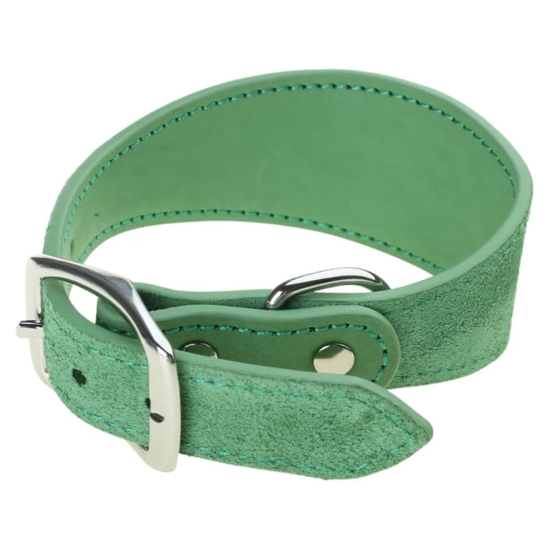 Leathers Dogs Collar Soft Padded Collar for Whippets Salukis Sighthounds Dogs Adjustable Collar Large Breeds Dogs Supply
