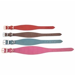Leathers Dogs Collar Soft Padded Collar for Whippets Salukis Sighthounds Dogs Adjustable Collar Large Breeds Dogs Supply