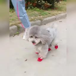 4pcs Waterproof Pet Dog Shoes Antiskid Rain Snow Boot Thick Warm For Small Cats Dogs Puppy Dog Socks Booties Pet Paw Accessories