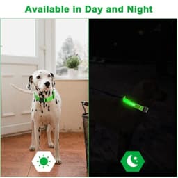 LED Luminous Collar Adjustable Glowing Dog Collar USB Rechargea Flashing Anti-Lost/Avoid Car Accident Collar Dogs Pet Products