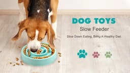 Pet Dog Slow Feeder Bowl Fun Non Slip Anti-Gulping Slower Food Feeding Dishes Eco Dog Bowl for Large Medium Small Dogs Puppy