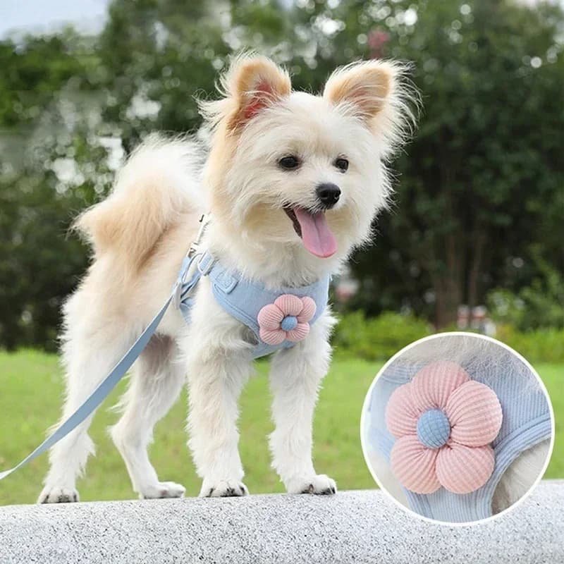 Pet Vest Traction Rope Dog Cartoon Three-Dimensional Accessories Teddy Walking Dog Rope Cat Going Out Chest and Back Protection
