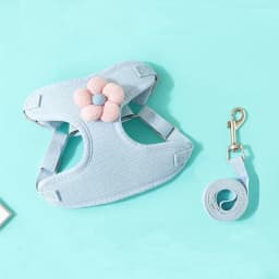 Pet Vest Traction Rope Dog Cartoon Three-Dimensional Accessories Teddy Walking Dog Rope Cat Going Out Chest and Back Protection