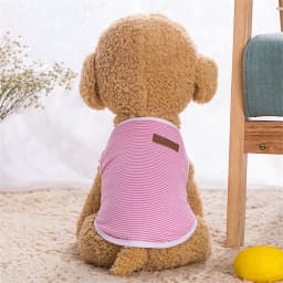 Summer Cat Dog Vest Classic Stripes Pet Sleeveless T-shirt for Small Dogs Cats Kitten Sphynx Clothing Outfit Ropa Para Gatos