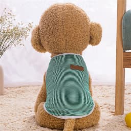 Summer Cat Dog Vest Classic Stripes Pet Sleeveless T-shirt for Small Dogs Cats Kitten Sphynx Clothing Outfit Ropa Para Gatos