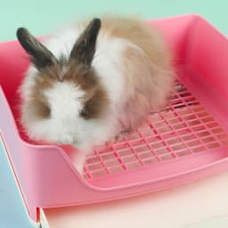 Pet Rabbit Large Drawer Toilet Anti-Overturning Fixed In Cage Small Animal Guinea Pig Adult Hamster Easy Clean Potty Trainer