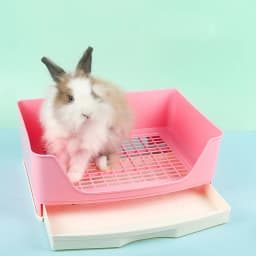 Pet Rabbit Large Drawer Toilet Anti-Overturning Fixed In Cage Small Animal Guinea Pig Adult Hamster Easy Clean Potty Trainer