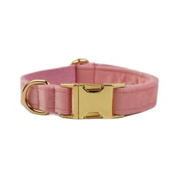 Personalized Dog Collar Velvet Puppy Adjustable Collar for Small Medium Big Dogs Collars with Name Customized ID Tag Engraving