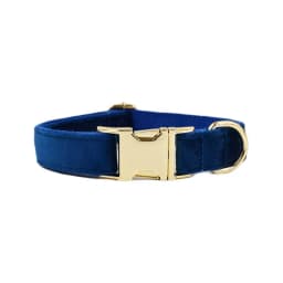 Personalized Dog Collar Velvet Puppy Adjustable Collar for Small Medium Big Dogs Collars with Name Customized ID Tag Engraving
