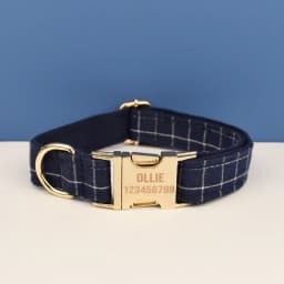 Dark Blue Check Dog Collar Leashes Harness Bow Set Grid 02