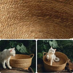 Pure Manual Rattan Woven Cat Nest, Four Seasons, General Dandelion, Cool Bed, Cat Scratch Board, Pet Products