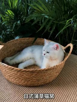 Pure Manual Rattan Woven Cat Nest, Four Seasons, General Dandelion, Cool Bed, Cat Scratch Board, Pet Products