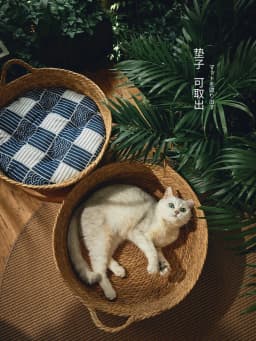 Pure Manual Rattan Woven Cat Nest, Four Seasons, General Dandelion, Cool Bed, Cat Scratch Board, Pet Products