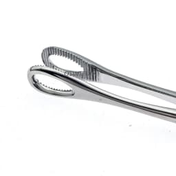 Sponge Forceps Serrated Jaws Stainless Steel Veterinary Surgical Instruments Straight/Curved 1 pc