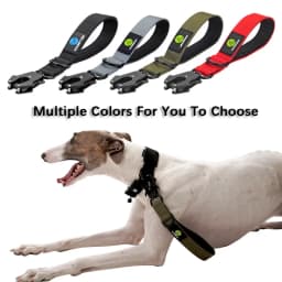 Pet Collar, Dog Neck Leash, Nylon Traffic Lead, Large Dog, Military Leash, Short Walking Rope, Metal Buckle, Puppy Accessories