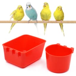 Bird Feeder Water Bird Cage Parrot Plastic Drinking Bowls Water Drinker for Pigeon Quail Chicken Duck Bowls And Drinkers 1 Pc