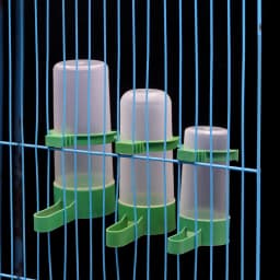 1Pcs Pet Bird Parrot Automatic Drinker Cups Feeder Bottle Bird Cage Parrot Feeding Tool Automatic Feeder Bowls And Drinkers
