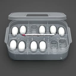 Pets Incubation Box DIY 12 Grids Hatch Box Snake Lizard Hatching Box Egg Tray Crawler Lizard Leopard Gecko Reptile Accessories