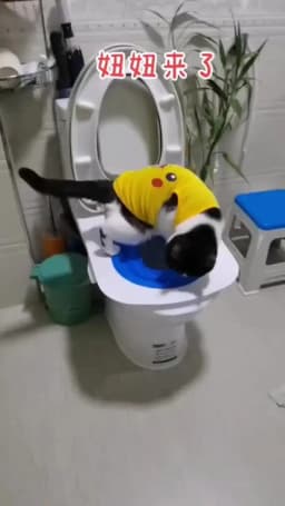 Reusable Cat Use Toilet Training Products Pet Cats Plastic Toilet Trainer Cat Toilet Training Kit Pets Litter Cleaning Tray Mat