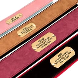 Personalized Leather Dog Collar Soft Wide Padded Collars For Medium Large Dogs With Free Engraved Nameplate Dog Accessories