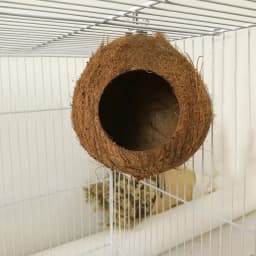 1PC Pet Bird Coconut Shell Nest Parrot Natural Perch Small Animals Comfortable Parrot Coconut Shell Nest