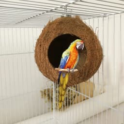 1PC Pet Bird Coconut Shell Nest Parrot Natural Perch Small Animals Comfortable Parrot Coconut Shell Nest