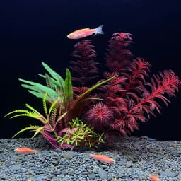 New Artificial Aquarium Decorative Grass Simulation Plant Fish Tank DIY Decoration Simulation Water Grass Combination
