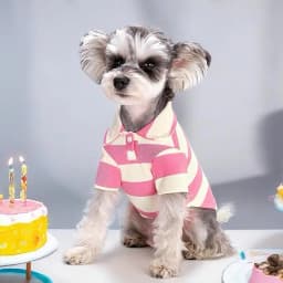 Stripe Dog Shirt Breathable Polo Shirts Summer Dog Clothes for Small Medium Dogs Cat Girl Boy Puppy Chihuahua Yorkie Pet Apparel