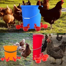 10/20/30Pcs Chicken Waterer Cups Chicken Feeder Cup for Chicken Duck Turkey Rabbit,3/8 Inch Thread Poultry Watering Feeder