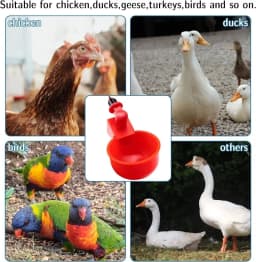 10/20/30Pcs Chicken Waterer Cups Chicken Feeder Cup for Chicken Duck Turkey Rabbit,3/8 Inch Thread Poultry Watering Feeder