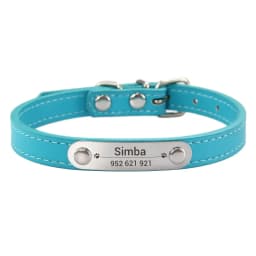 Personalized Dog Collar Name Carved 16 Colors Solid PU Leather Collar For Small Medium Large Dogs Puppy Cat Accessories Red Pink