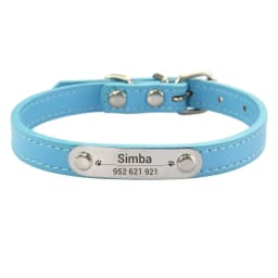 Personalized Dog Collar Name Carved 16 Colors Solid PU Leather Collar For Small Medium Large Dogs Puppy Cat Accessories Red Pink