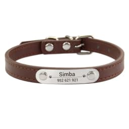Personalized Dog Collar Name Carved 16 Colors Solid PU Leather Collar For Small Medium Large Dogs Puppy Cat Accessories Red Pink