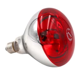 220V Heating Lamp Bulb Animal Thermal Preservation Heat Infrared Ray for Reptile Amphibian Pet Livestock 100/150/200/275W