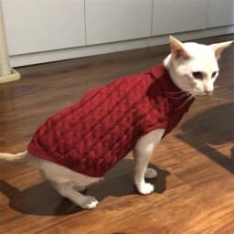 Cat Puppy Sweaters Autumn Winter Pet Knitted Sweater Jumper for Small Dogs Cats Kitten Pullovers Sphynx Clothing Ropa Para Gatos