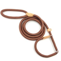 Dog Leash Slip Rope Lead Leash Heavy Duty Braided Rope Adjustable Loop Collar Training Leashes for Small Medium Dogs