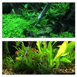 Stainless Steel Aquatic Plants Tools Tweezers for Aquarium Fish Tank Aquascaping Tools Aquarium Tools Scissors Cleaning Tools
