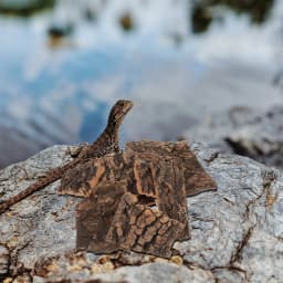 10Pcs Tree Bark Decor Reptile Habitat Terrarium Accessories Pet Products Lizard Climbing Bark Turtle Basking Platform