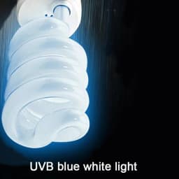 E27 13W/26W Reptile Uvb Lamp Calcium Supplement Lamp UVB5.0/10.0 for Tortoise Lizard Snake UV Lamp for Succulent Plants